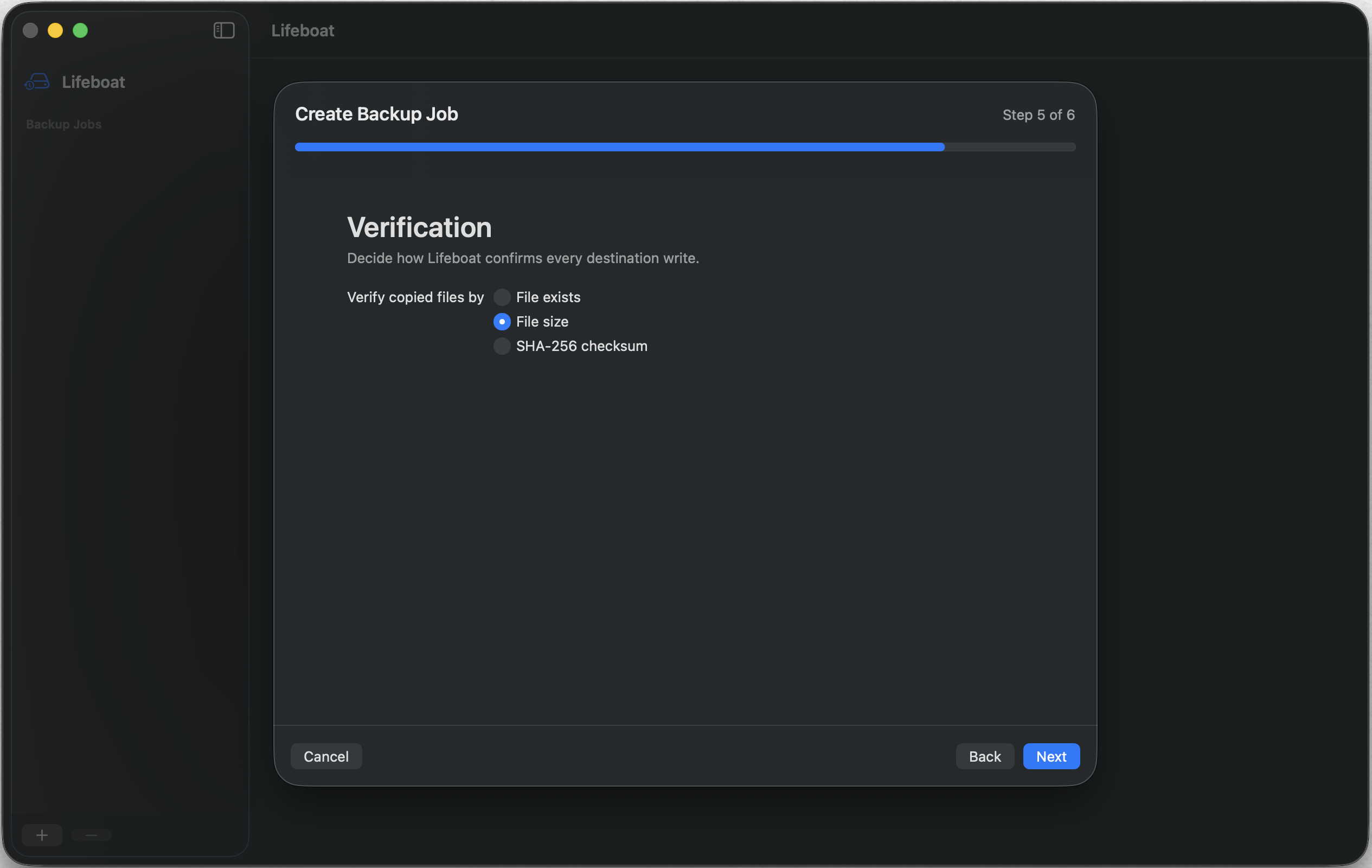 Lifeboat verification settings offering file existence, size, and SHA-256 checksum checks